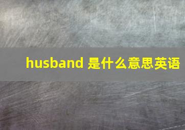 husband 是什么意思英语